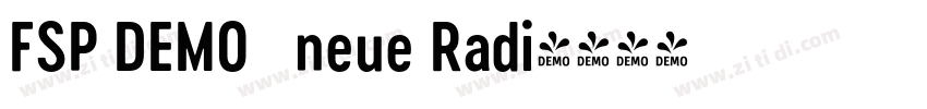 FSP DEMO   neue Radi字体转换